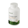 OstroVit Cordyceps VEGE 60 caps 2