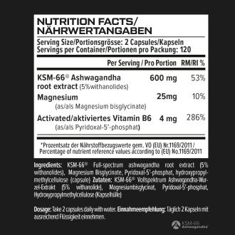 VAST Ashwagandha 600 PRO 120 capsule