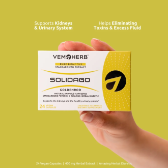 Extract de Splinuță VemoHerb Solidago 24 capsule