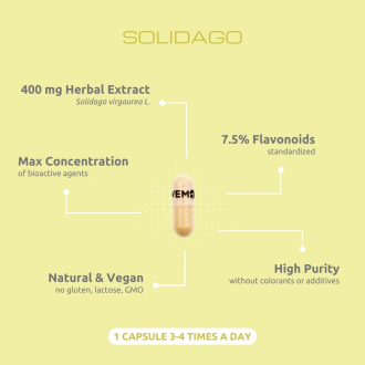 Extract de Splinuță VemoHerb Solidago 24 capsule