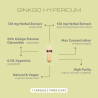 Extract de Ginkgo si Sunatoare VemoHerb Ginkgo Hypericum 60 capsule