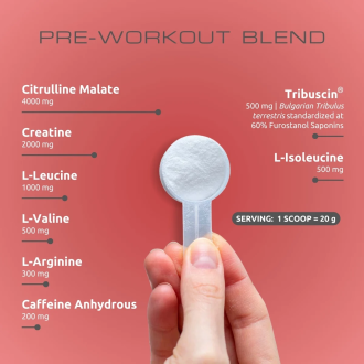 Pre Workout VemoHerb Armageddon 300g