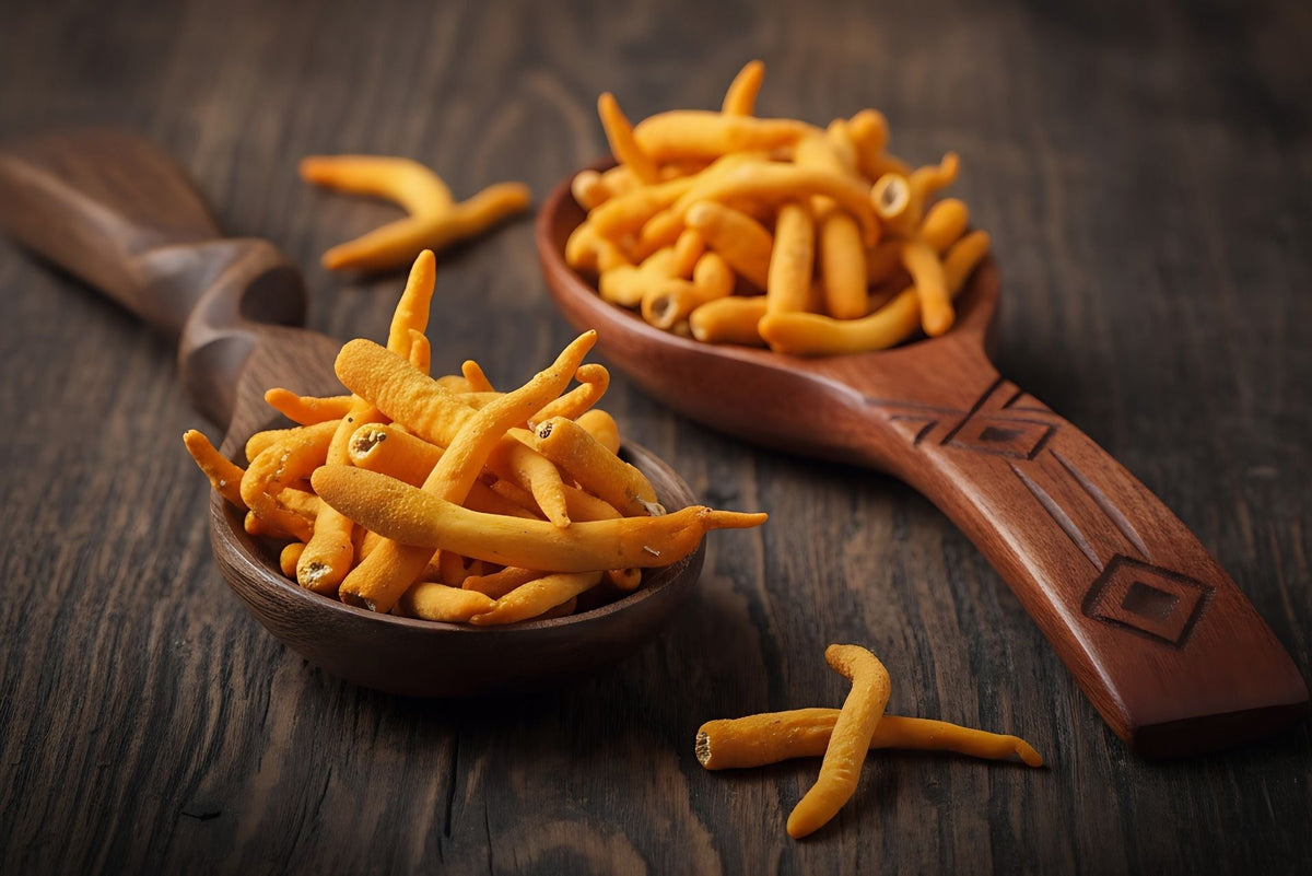 Cordyceps: Beneficii, Proprietăți și Cum Să Alegi Cel Mai Bun Supliment