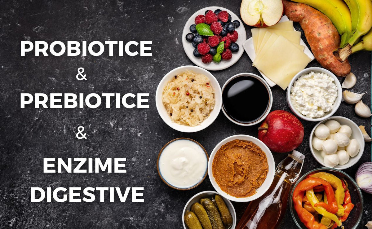 Importanța prebioticelor, probioticelor si enzimelor digestive în alimentația sportivă