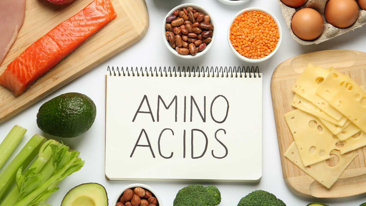 Aminoacizii Esentiali - ce sunt si ce rol au în organism