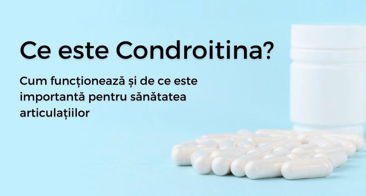 Condroitina: ce este, cum funcționează și de ce este importantă pentru sănătatea articulațiilor
