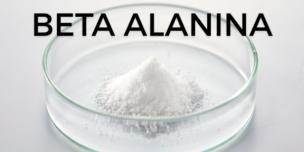 Beta-alanina: beneficii, mod de administrare. Crește-ți performanța și întârzie oboseala în antrenamente intense