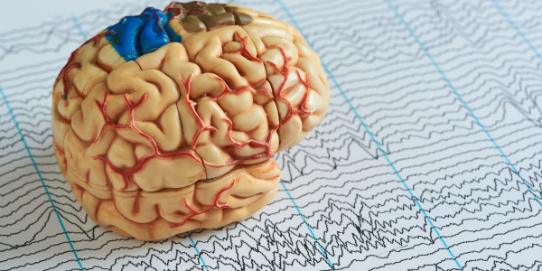 Secretul longevității creierului: Ce spune știința despre cum să îți păstrezi mintea ageră