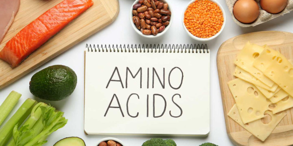Aminoacizii Esentiali - ce sunt si ce rol au în organism