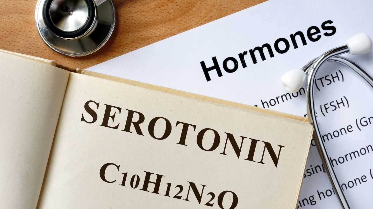 Serotonina: Ce Este, Cum Funcționează și De Ce Are un Rol Esențial În Starea Ta de Bine